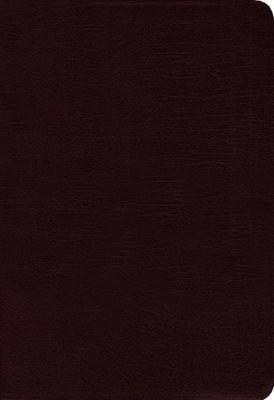Amplified Bible