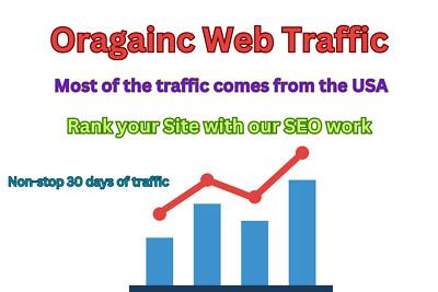 Daily Website Traffic Boost with SEO for 30 Days