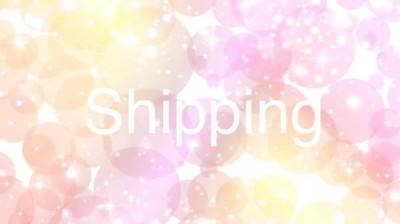 economy shipping