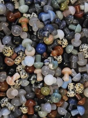 Mini Mushroom Crystal Mystery Scoop 🍄 10 Mushies!!!