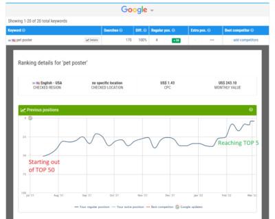 SEO Services Worldwide - 2