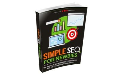 Simple SEO For Newbies (Buy this get other free)
