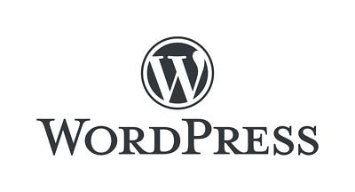 WordPress support service