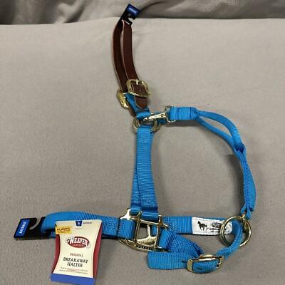 1" Nylon Adjustable Leather Crown Halter Horse Teal Brass Average 35-6025-HB