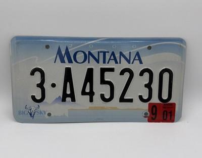 2001 Montana Passenger License Plate 3-A45230