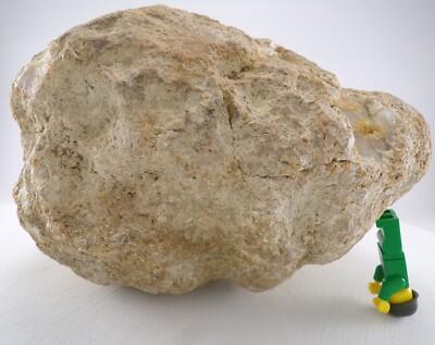 7.5 Inch Unopened Geode Nodule Natural Kentucky Crystal Quartz Uncut 7.8 Pound
