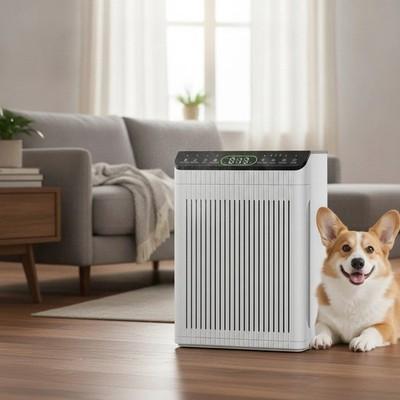 Air Purifier for Home Large Room Up to 2200sq ft with Washable Filter