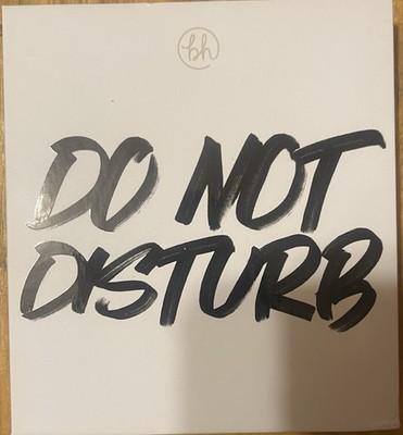 BH Cosmetics Do Not Disturb Eyeshadow Palette 9 Shades Matte Shimmer Pressed