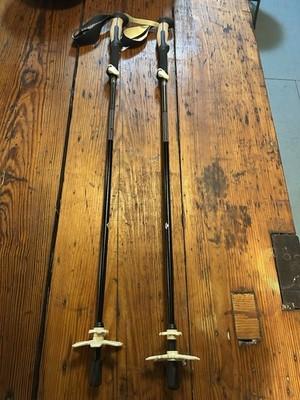 Black Diamond Trail Vista FLZ Trekking Poles 110-125 Cm