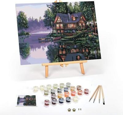DIY Paint by Numbers Kit for Adults Framed Canvas Beginner to Advanced Paint ...