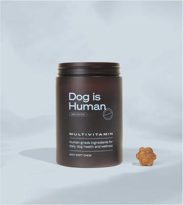 Dog is Human Daily Multivitamin Beef Soft Chews Dog Vitamins Immune Support 60 C