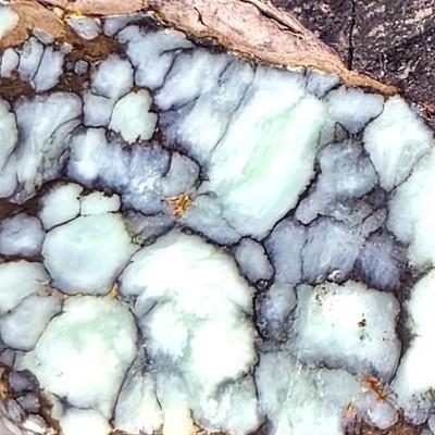 GS1237 Vista Grande variscite rough slab set 25.4 grams; lapidary, cabbing
