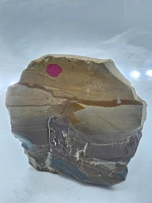 Large Rough Picture Jasper - 1-2 lbs - Scenic Landscape Jasper Raw Specimen