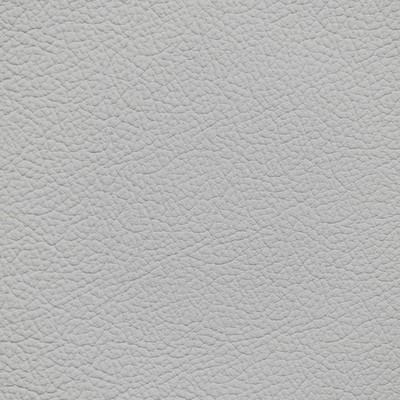 Lexus Mist Gray Leather Dye