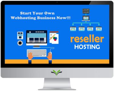 Litespeed Unlimited Reseller Web hosting Cpanel/whm Billing tool + SSL - 1 Year