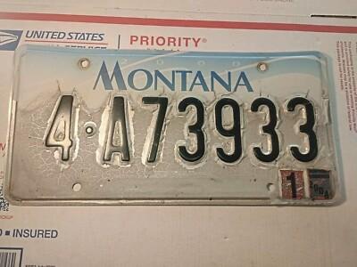 Montana License Plate January 2004 4-A73933