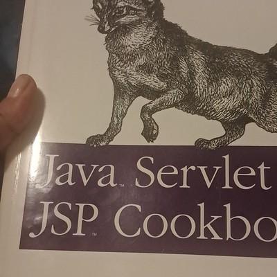 O'Reilly Java Servlet & JSP Cookbook by Bruce W. Perry Paperback Computers