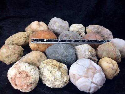 ONE Unopened GEODES 2"-3" Break Your Own Quartz Crystal Agate Natural Uncut Gem