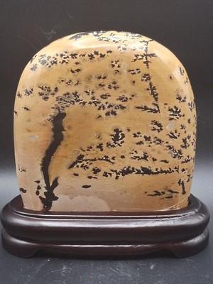 Picture jasper slab with stand! 4 by 4 inches, 1.3 pounds, 1.3" thick
