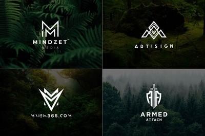 PROFESSIONAL CUSTOM LOGO DESIGN FOR BUSINESS + UNLIMITED REVISION | GRAPHICS