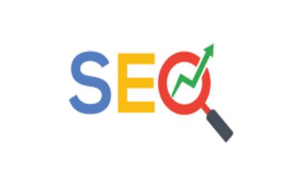 Professional Search Engine Optimization SEO Service | Website Homepage Web Site