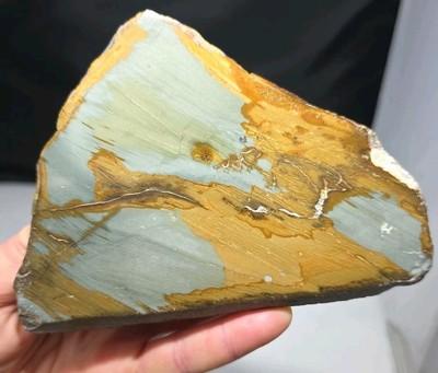 RT Rocks Picture Jasper Polished Slab Oregon