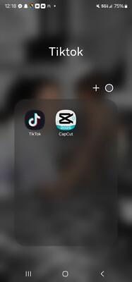 Samsung Galaxy S23 Ultra - 256 GB - Black (Unlocked) With Tiktok And Capcut