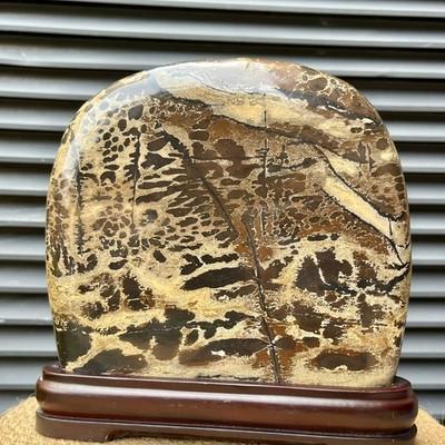 Scenic Stone Natural Pattern Polished Display Art Wood Base 4.7 lb