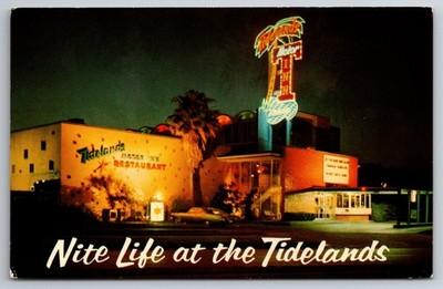 TX, Houston, Tidelands Motor Inn, Night View, Vintage Postcard